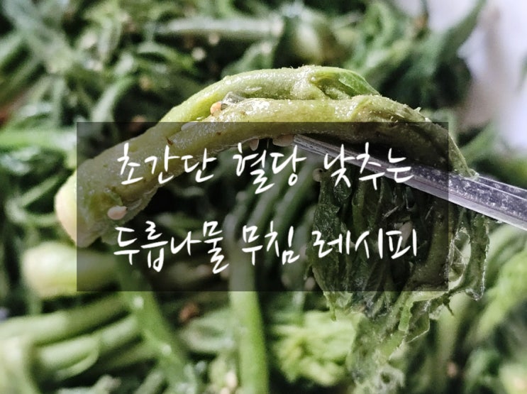  제철나물 두릅나물 무침 레시피 혈당 낮추는 두릅요리