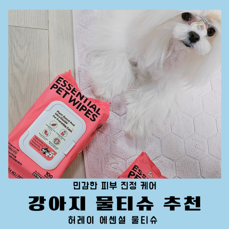  강아지 물티슈 추천 허레이 에센셜 펫티슈