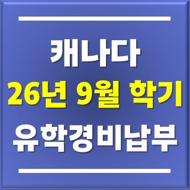 사진 5