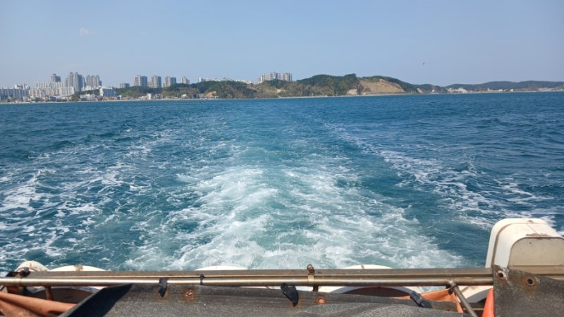 포항 크루즈 유람선 시간 가볼만한곳 여행코스
