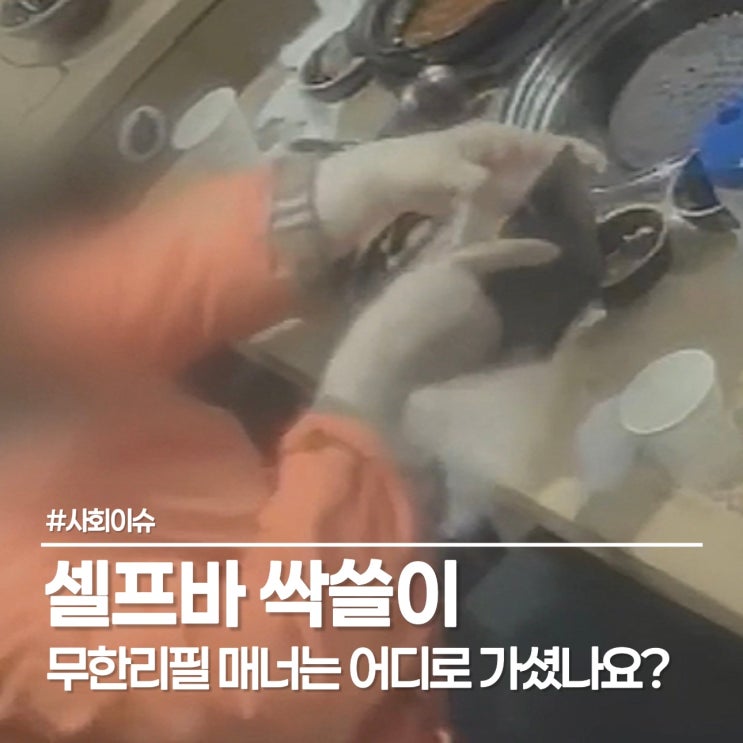  [충격실화] 셀프바 반찬 포장, 건강한 외식 문화를 위해 지켜야 할 선