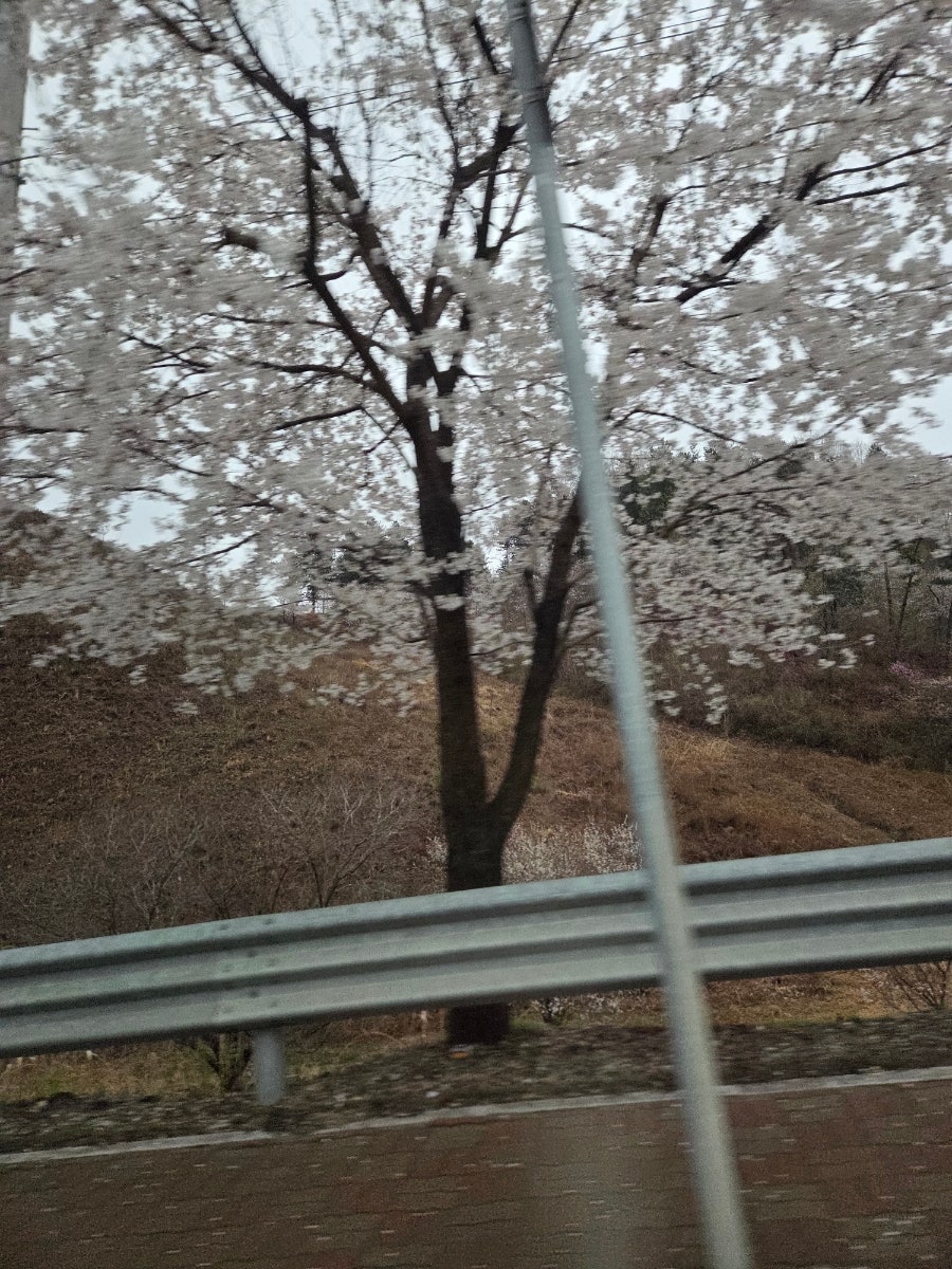 트래블리 호텔 사진 3