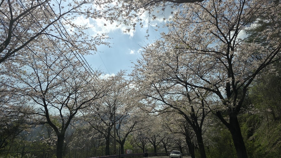 물안골 사진 4