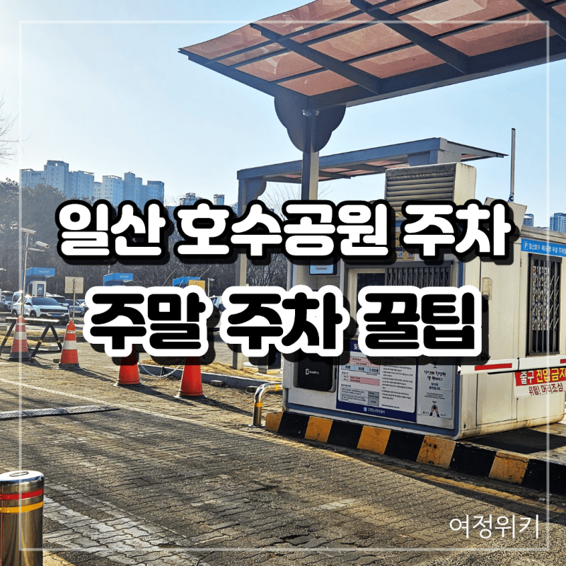 일산 호수공원 주차장, 주말 주차 상황과 이용 꿀팁