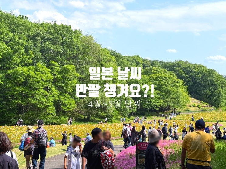  일본 날씨 4~5월 골든위크, 반팔 챙겨요? 비 소식과 옷차림