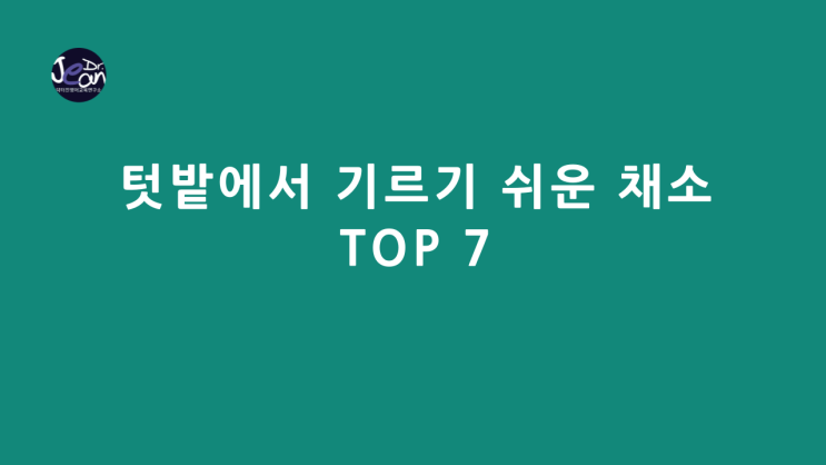  텃밭에서 기르기 쉬운 채소 TOP 7