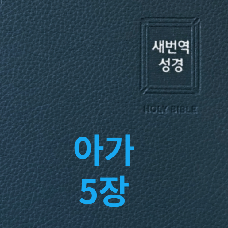  아가 5장