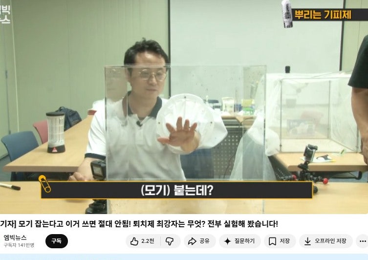 초파리 알 생김새 확인 안 했다가 집안 난리났어요ㅠㅠ