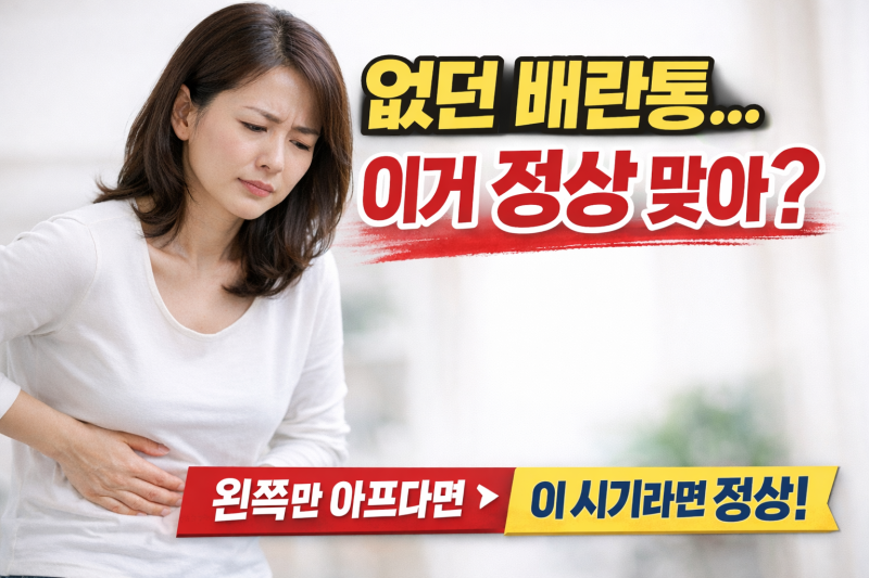 없던 배란통 생겼다면? 배란통 위치·증상·이유 총정리 (40대 변화일까)