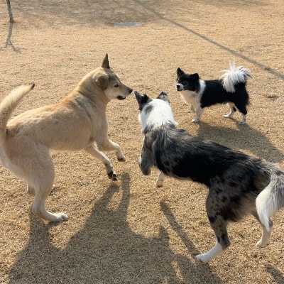 사진 8
