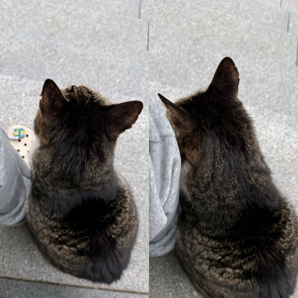 동해식당 사진 2