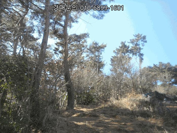  [경상남도 통영시 북신동] 임야 경매, [2025-206]