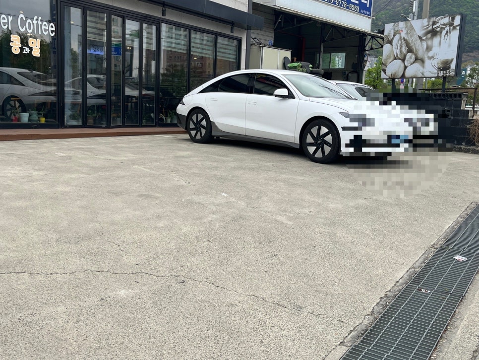 콩과밀 사진 2