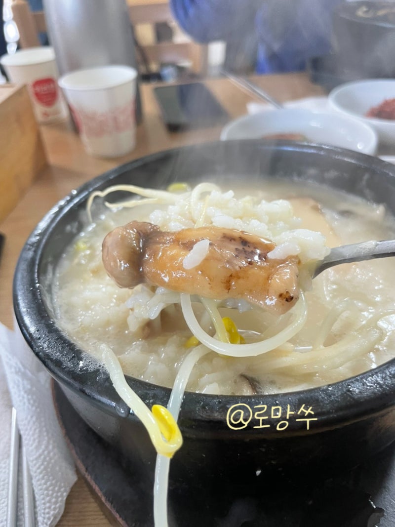 양양쏠비치 근처 아침맛집