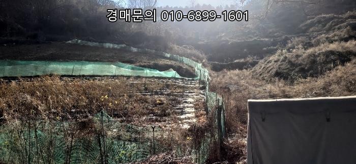  [충주시 종민동] 토지 경매, 2024-3578