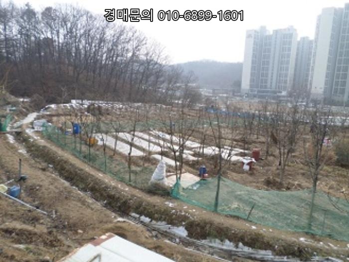  [강원 원주시 태장동] [토지] 경매, [2024-407183]