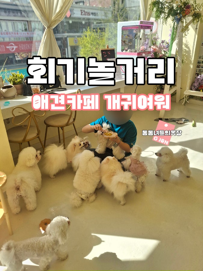 사진 3