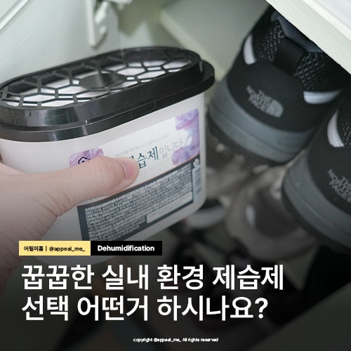  선반제습제 한국도 동남아화 된다고? 여름 집안습기제거 추천 홈트너