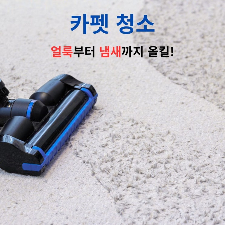  카펫 청소, 얼룩부터 냄새까지 확실하게 제거하는 방법
