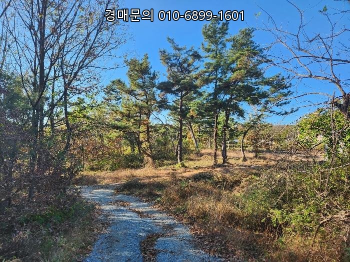  충남 논산시 상월면 상도리 임야 경매, 2023-1957