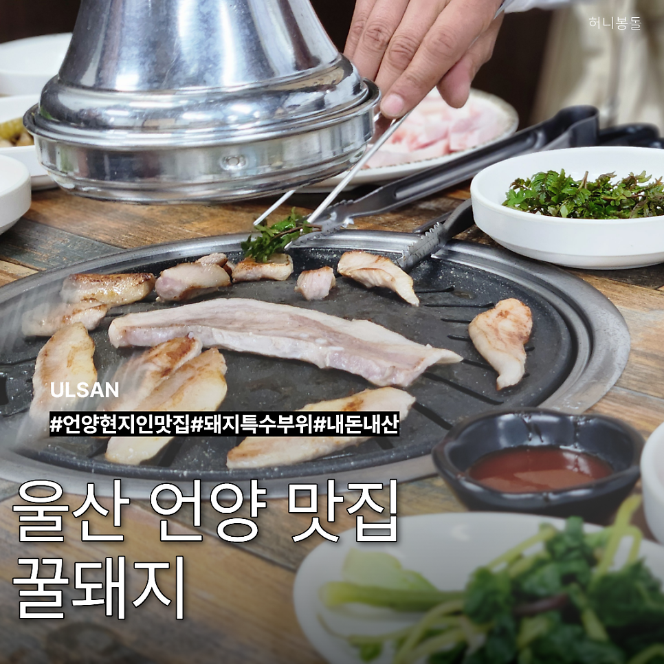 꿀돼지 사진 1