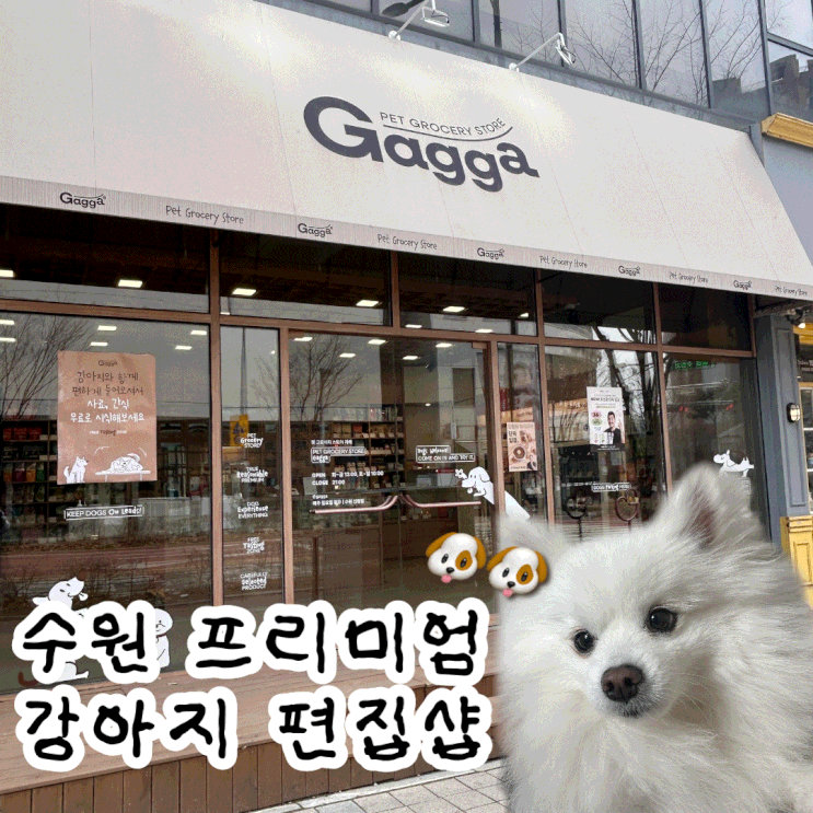  수원 강아지 소품샵 다양한 사료를 만날 수 있는 가까 Gagga