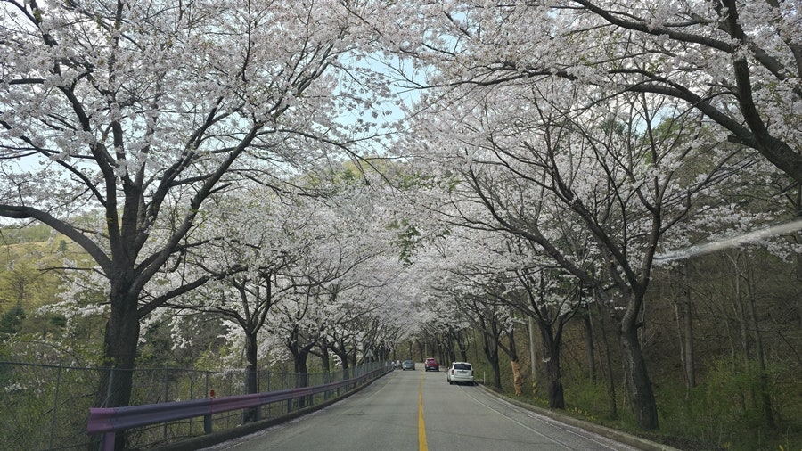 물안골 사진 3