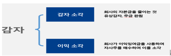  알면 돈 버는 감자방법 (감자 소각과 이익소각)
