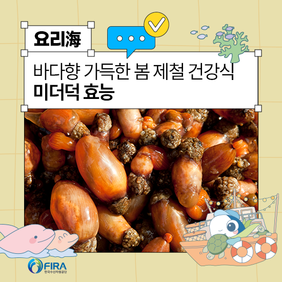 미더덕 효능, 바다 향 가득한 봄 제철 건강식!