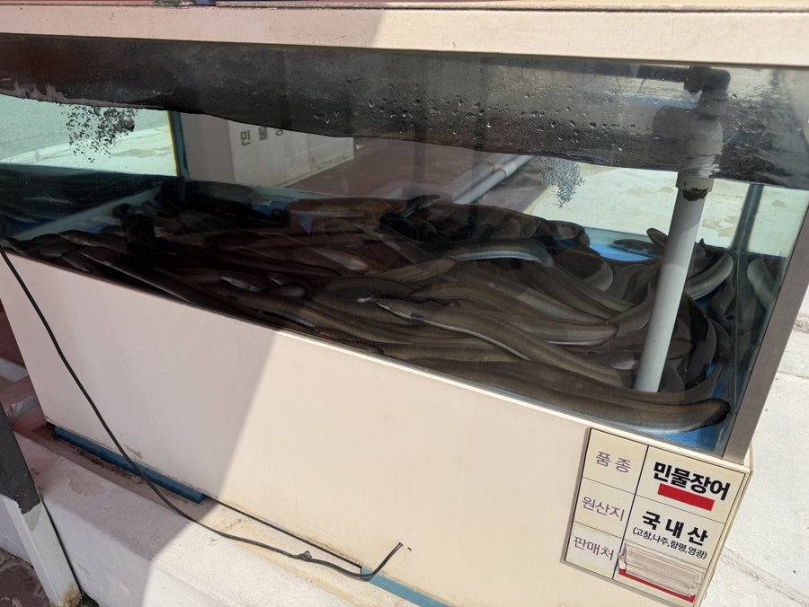 명산장어 사진 3