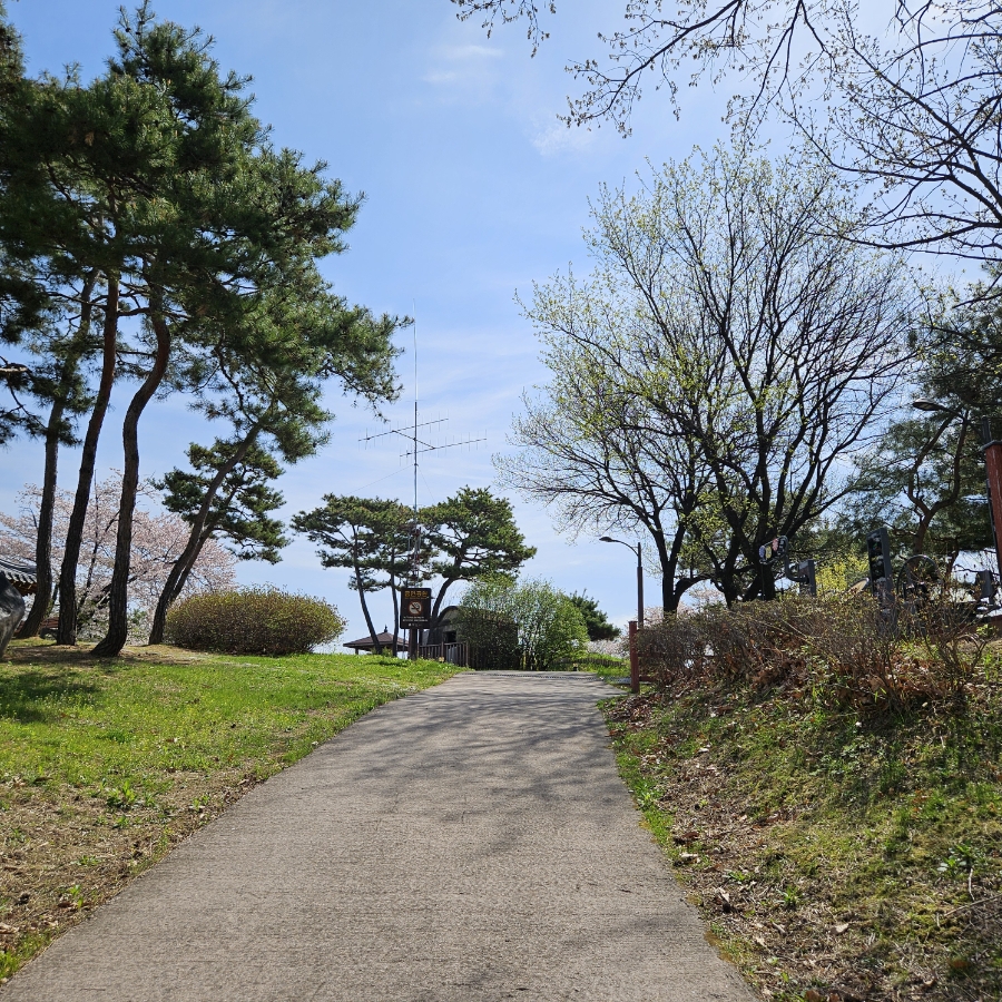수도산 사진 4