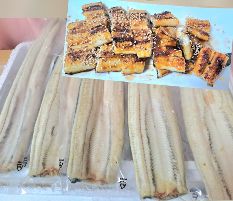 자양강장에 좋은 스테미너식 식품 민물장어 효능과 바다장어와의 차이점 장어종류 택배장어....