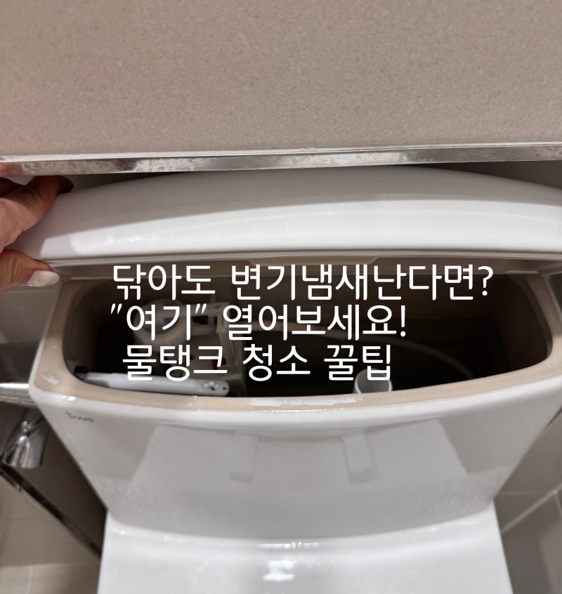 구연산활용법 닦아도 변기 냄새가 난다면 '여기' 열어보세요 물탱크 청소꿀팁