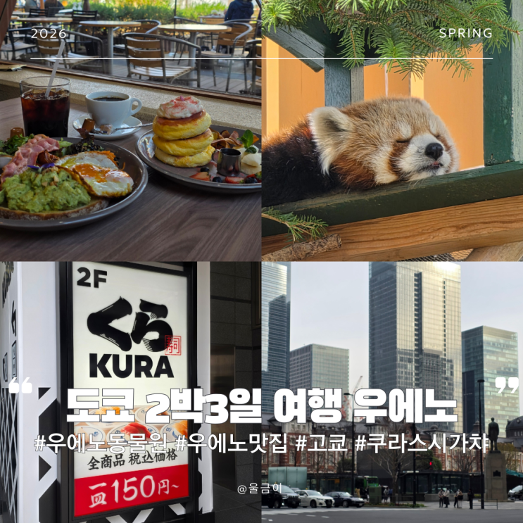  도쿄 우에노 마지막 날 코스! 짐 보관부터 공항 이동까지