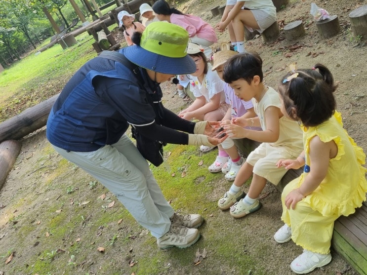  증평 별천지숲인성학교, 단체 봄 소풍 장소로 인기