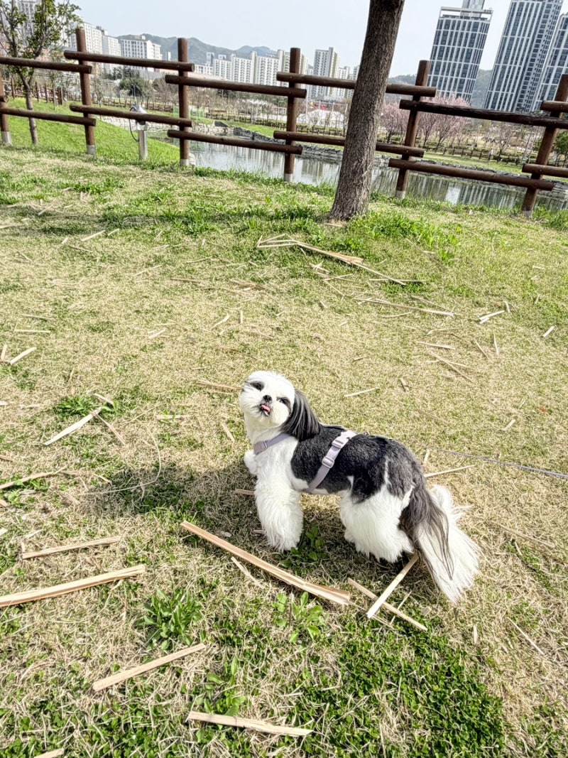 사진 3