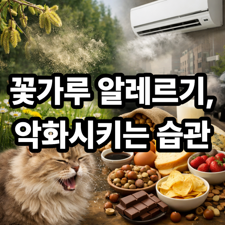   꽃가루 알레르기 악화시키는 음식과 환경 요인 총정리