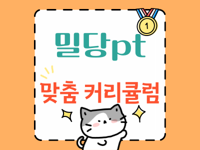 서경석 과외 밀당PT 인강 가격 중고등학생 국어 수학 영어 온라인강의 선생님 1:1 맞춤학습