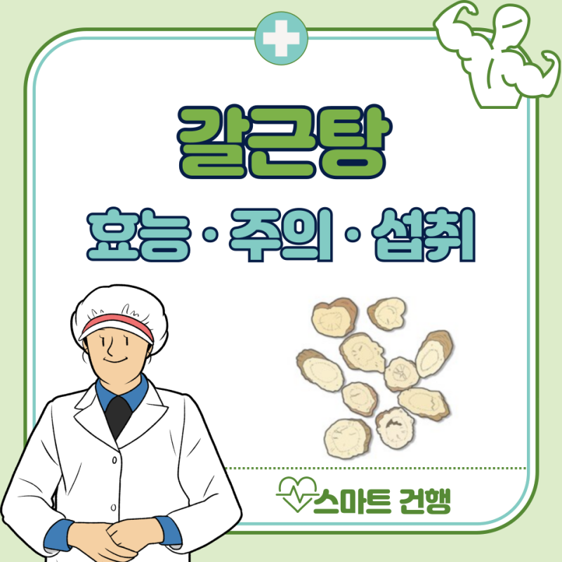 갈근탕 효능 5가지, 부작용, 약국 가격, 복용법
