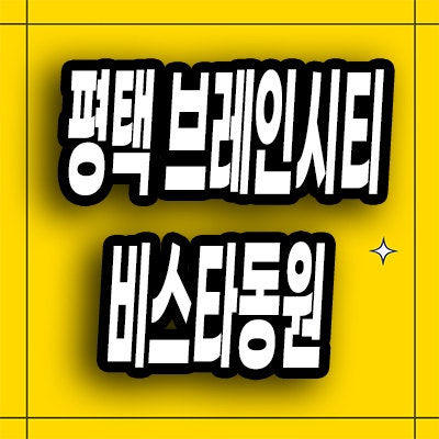  평택 비스타동원 미분양아파트 브레인시티 잔여세대 선착순 동호지정