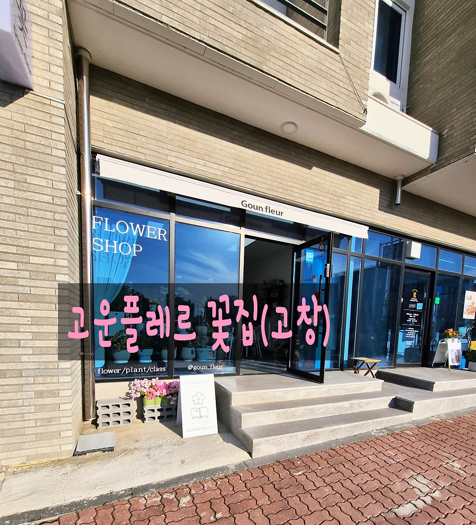 고운플레르 사진 1