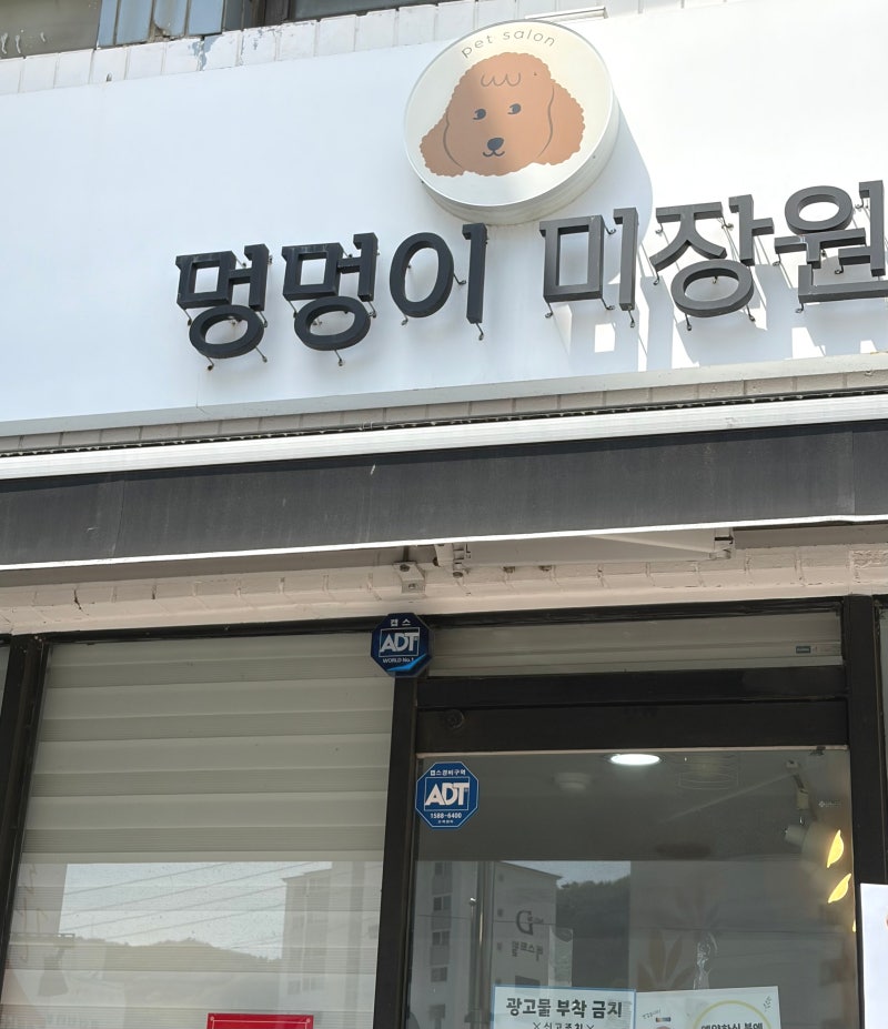 사진 3