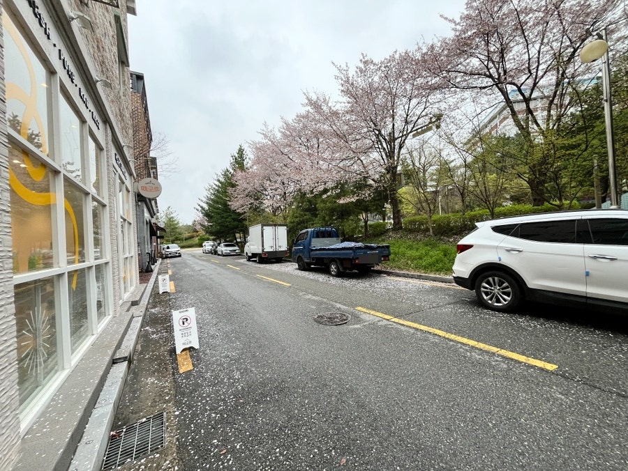 Ttegureu Bonjeom photo 3
