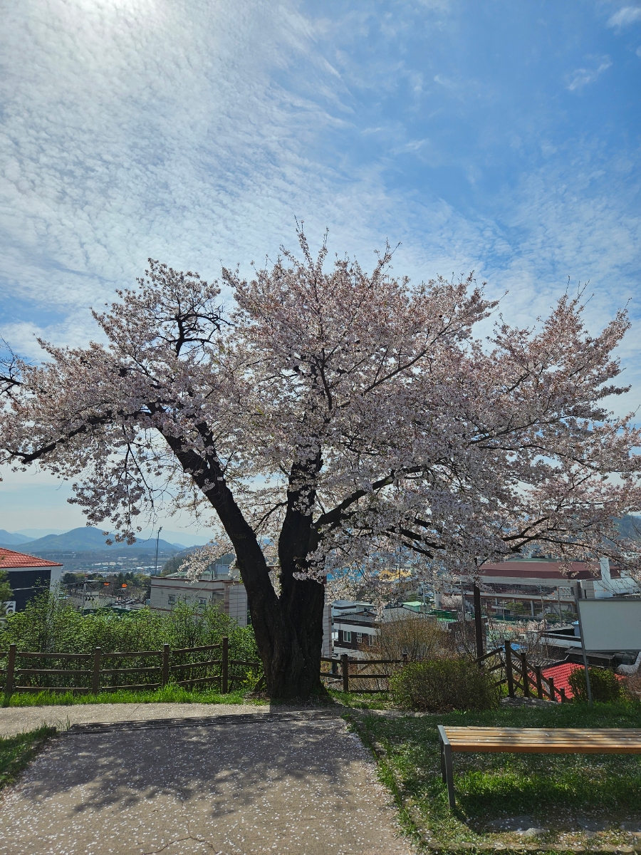 수도산 사진 5