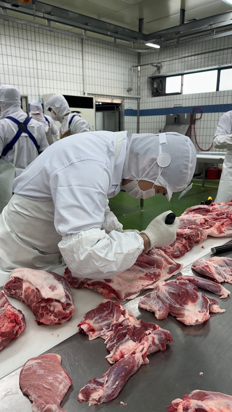 식육처리기능사 필기+실기 원패스 후기 (직장인, 정기기능사1회, 농협축산물위생교육원)