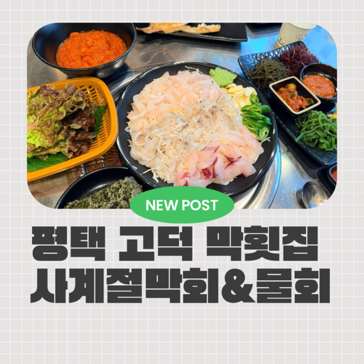  평택 고덕 물회 맛집 사계절막회&물회 고덕점 막회까지 완벽한 고덕 회식장소