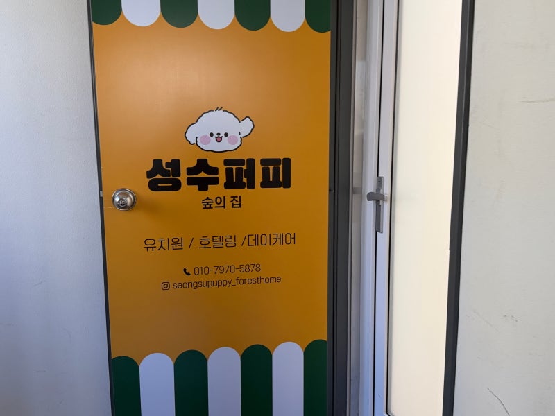 사진 3