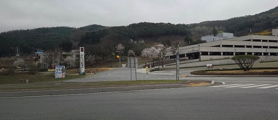트래블리 호텔 사진 5