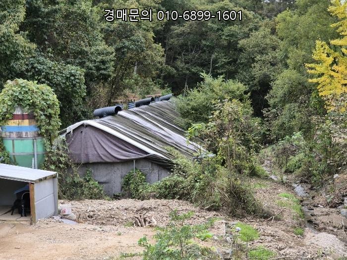  [음성군/원남면 덕정리] 임야 경매, 2024-3059
