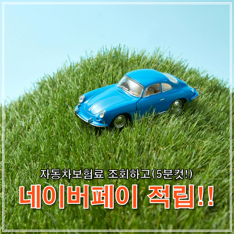 [꿀팁] 자동차보험료 조회하고 네이버포인트 21,000원 적립받는 법(5분 컷!)